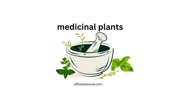 medicinal plants