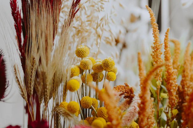 Haldi Decorations