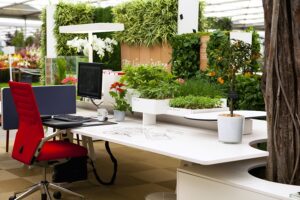 Read more about the article 10 Plants That Can Be Great for Decorating an Office Space: Office Decoration with Plants